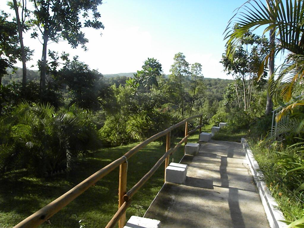 Bush Baby Glen Villa Hazyview Exterior photo